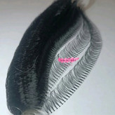 مژه ریسه ای ابریشمی کره ای سایز ۱۴